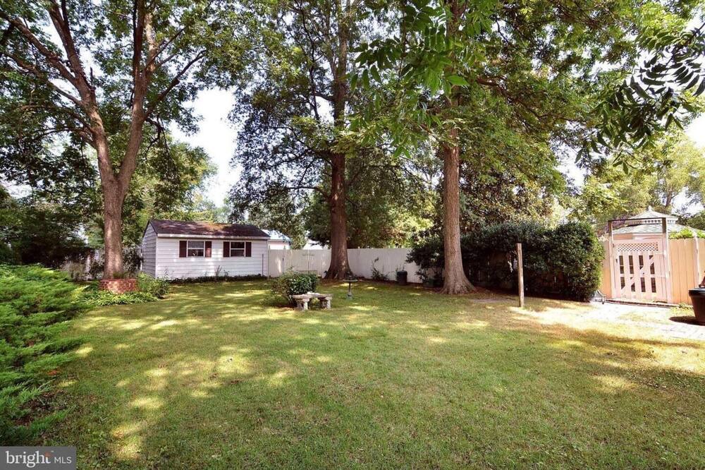 Photo of Others in Cambridge