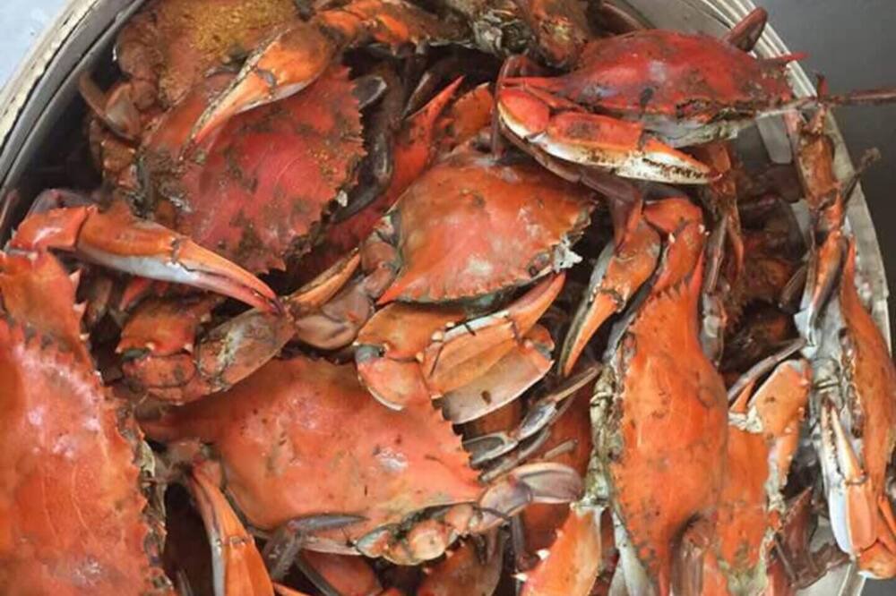 Photo of Others in Cambridge