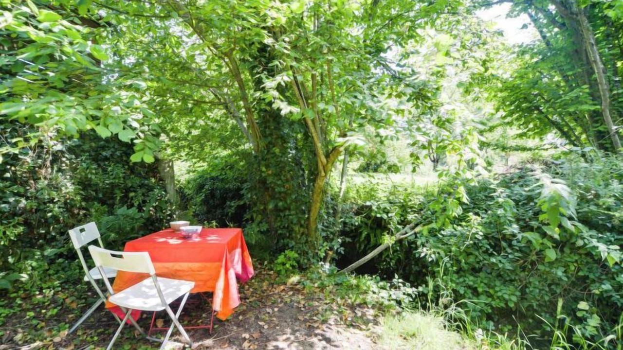 Photo of Outdoor in Chissay-en-Touraine