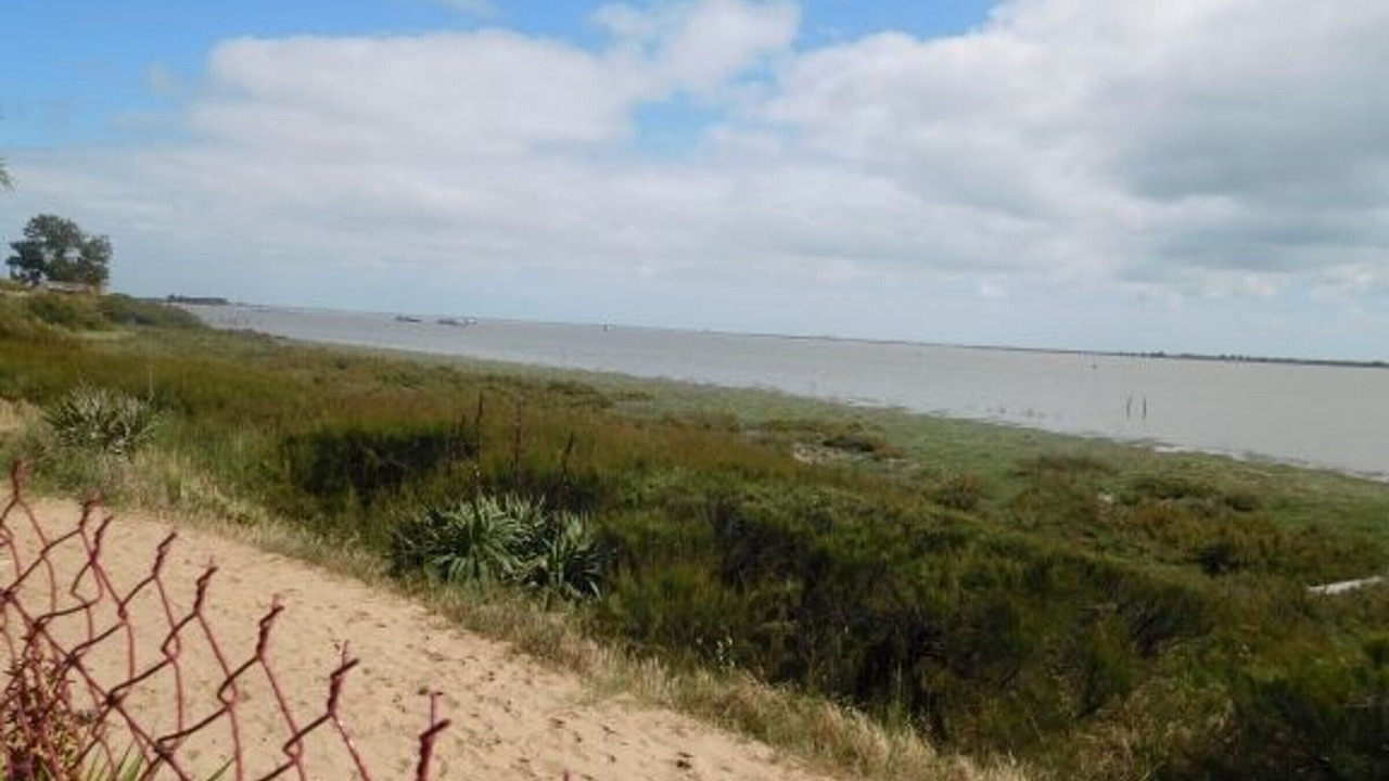Photo of Others in LʼAiguillon-sur-Mer