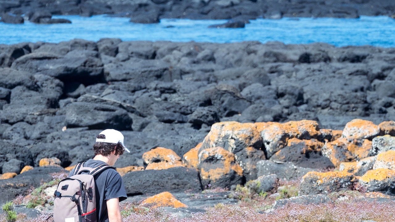 Photo of Others in Port Fairy
