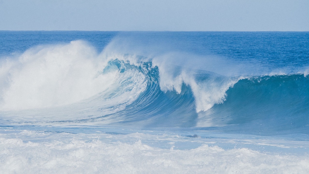 Photo of Others in Port Fairy