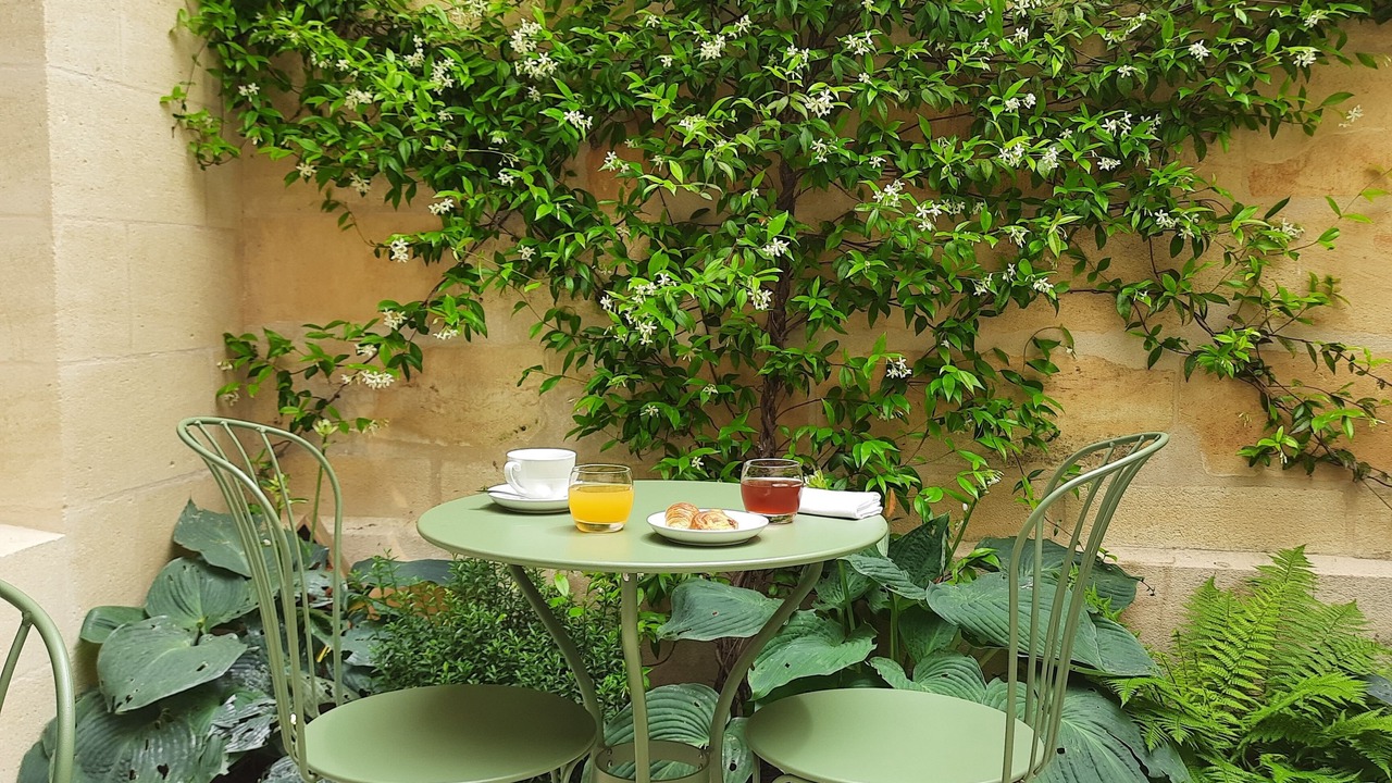 Photo of Outdoor in Saint-Emilion