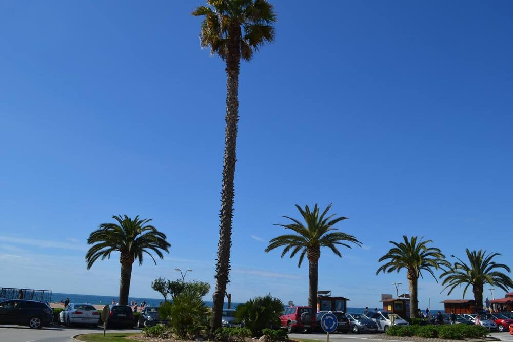 Photo of Outdoor in Mont Barbat
