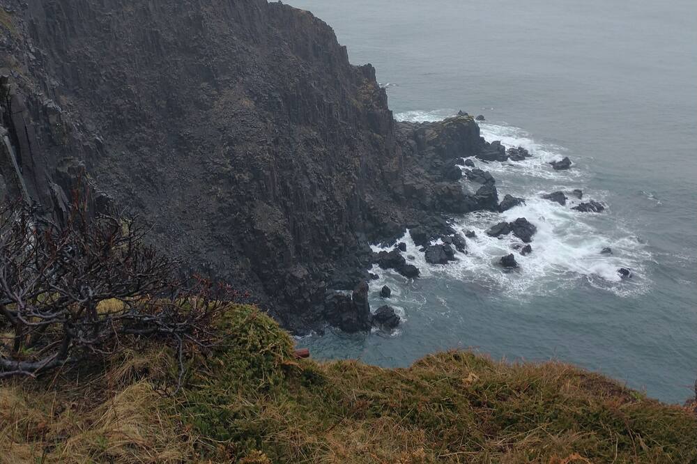 Photo of Others in Grand Manan Island