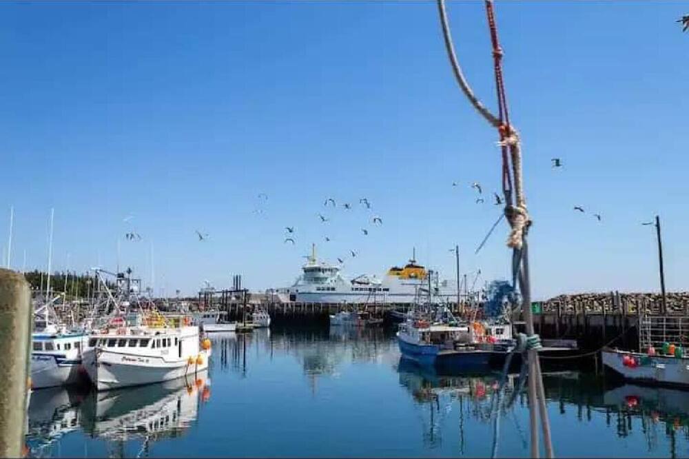 Photo of Others in Grand Manan Island