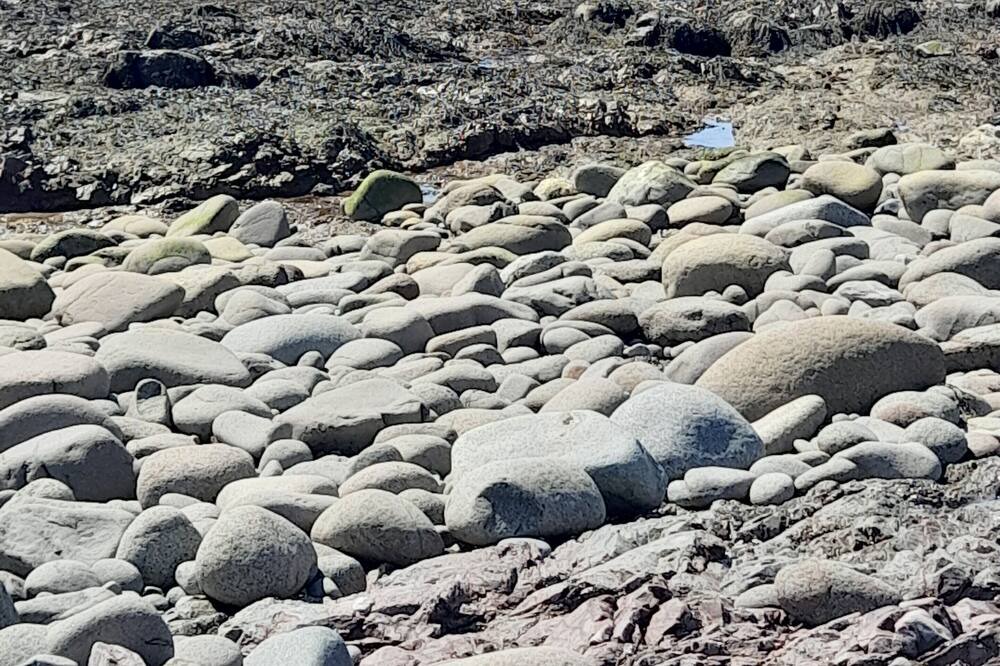 Photo of Others in Grand Manan Island