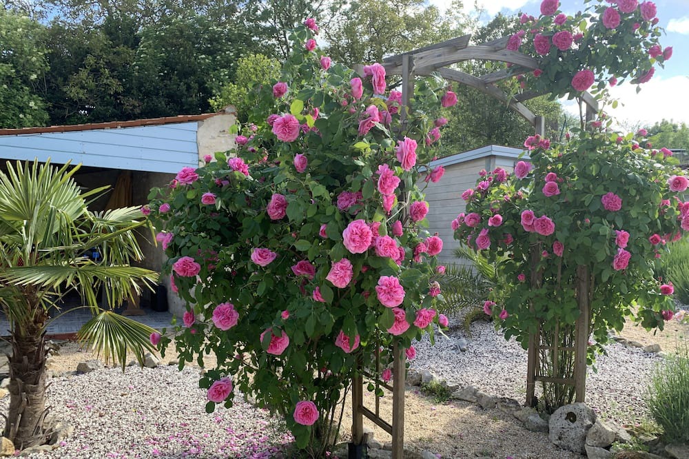 Photo of Outdoor in Curzon