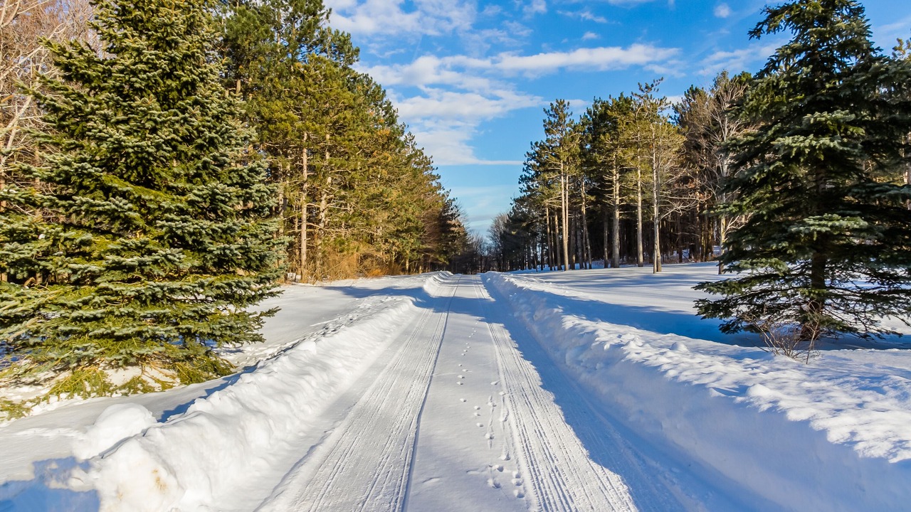 Photo of Others in Bristol Hills