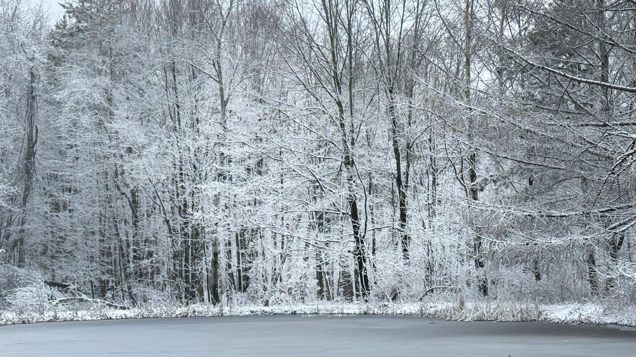 Photo of Others in Bristol Hills