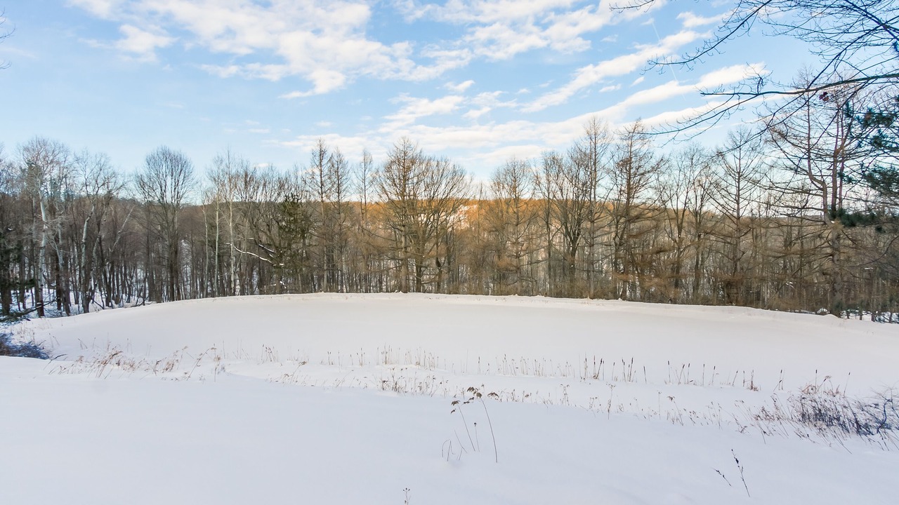 Photo of Others in Bristol Hills