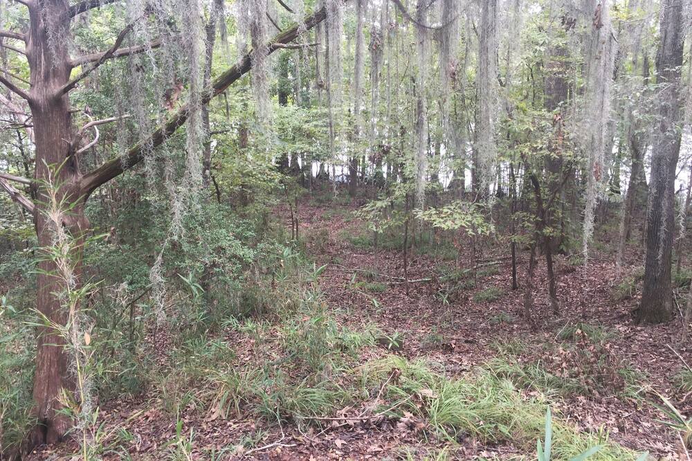 Photo of Others in Saint Landry