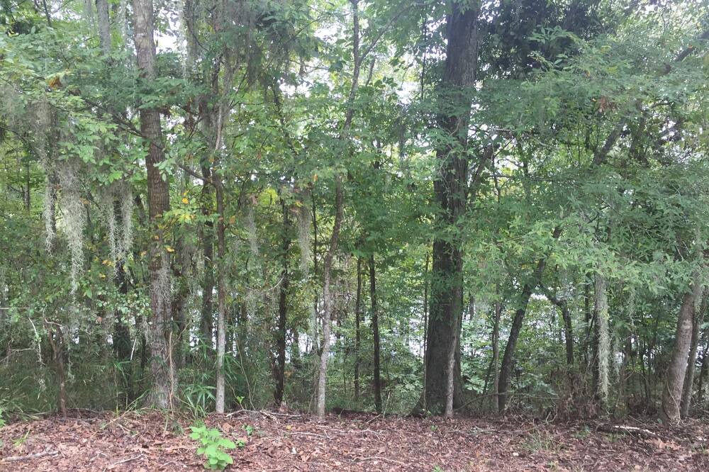 Photo of Others in Saint Landry