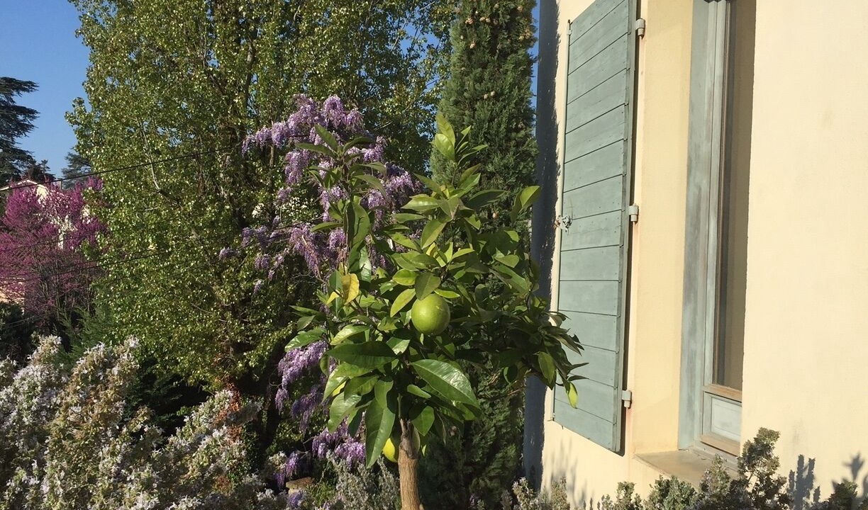 Photo of Outdoor in Saint-Didier-au-Mont-d'Or