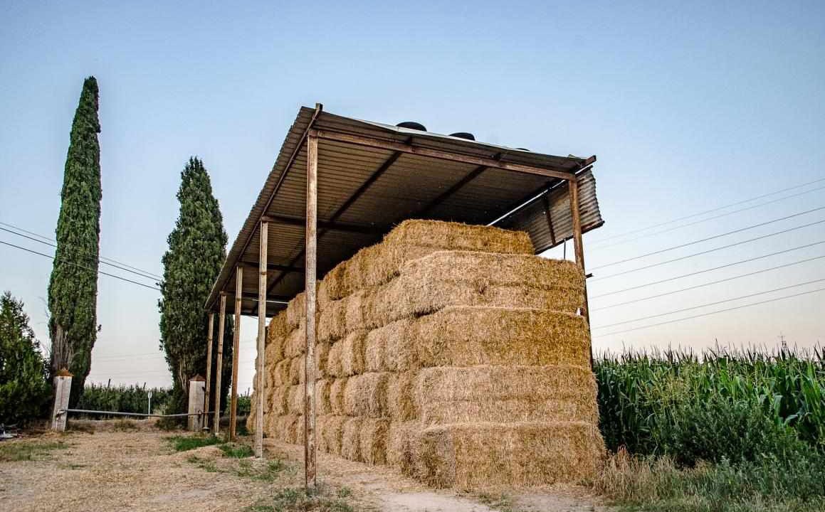 Photo of Others in Vilobi d'Onyar