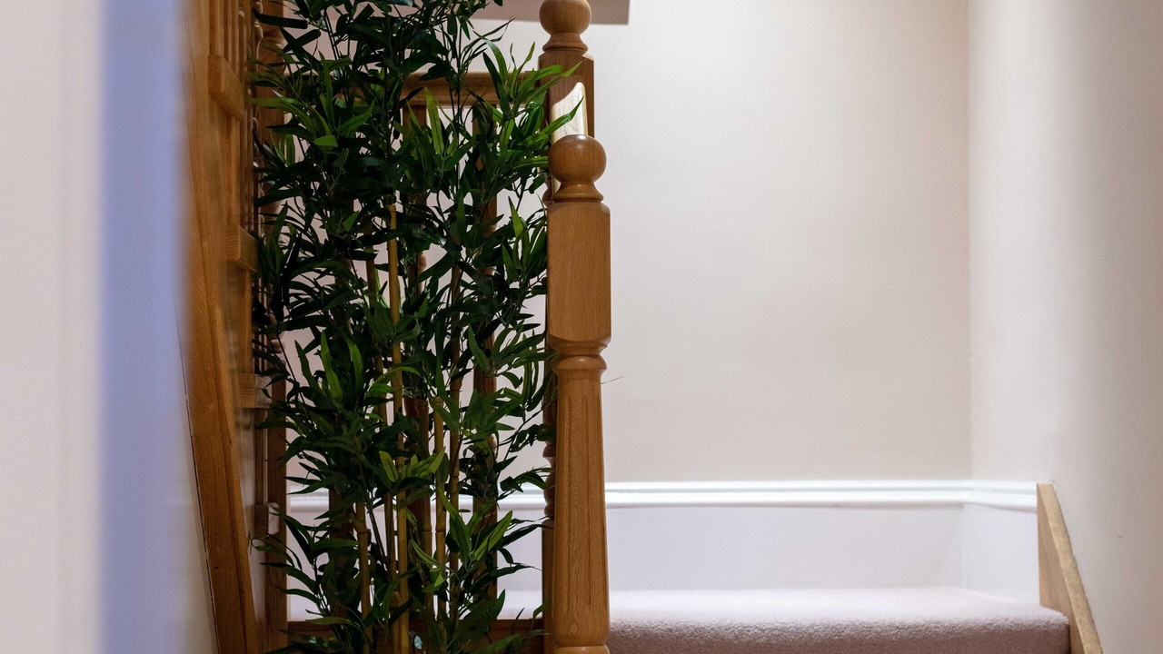 Photo of Others in Ayr