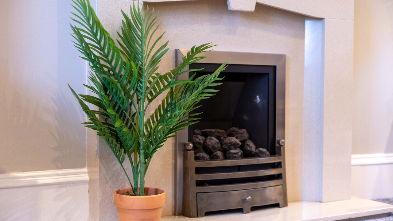 Photo of Others in Ayr