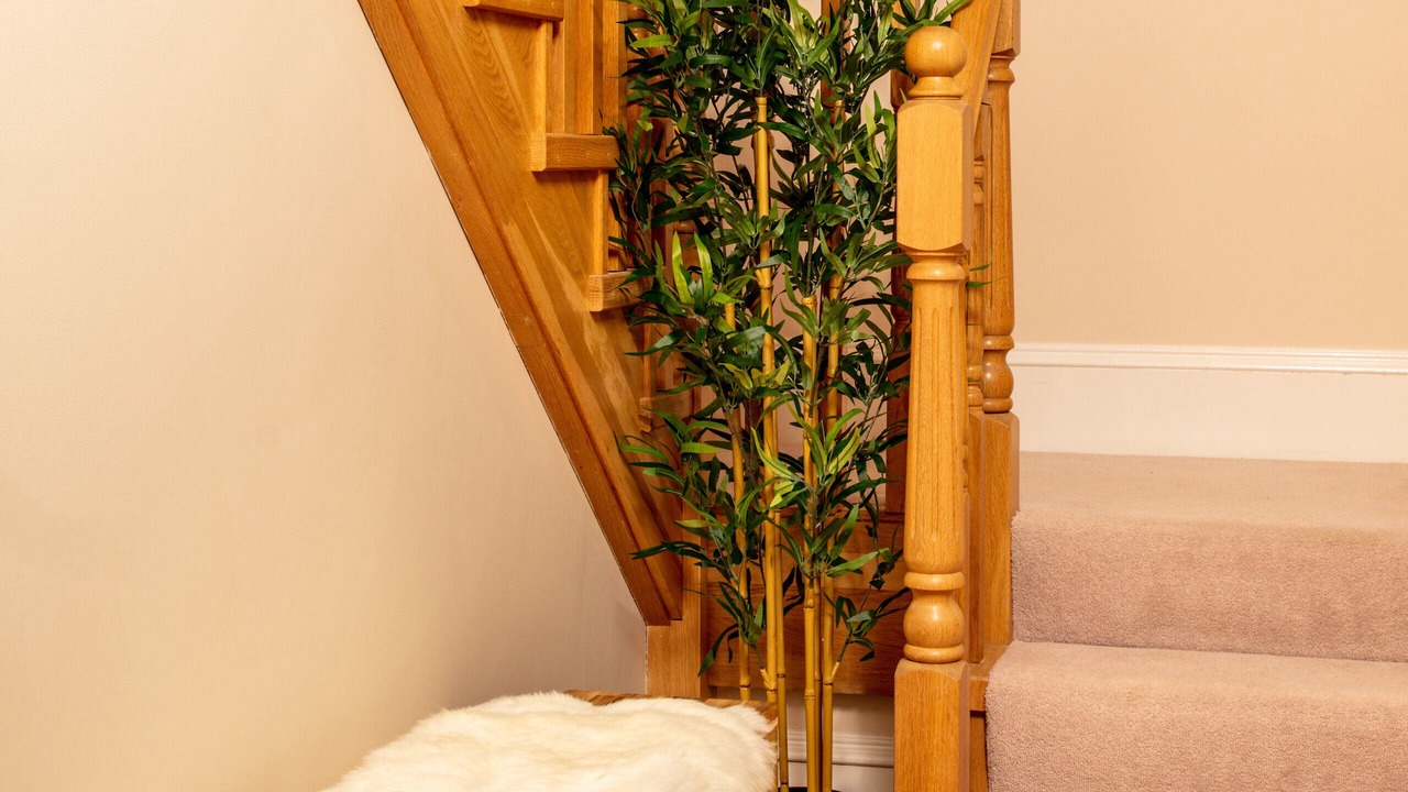 Photo of Others in Ayr