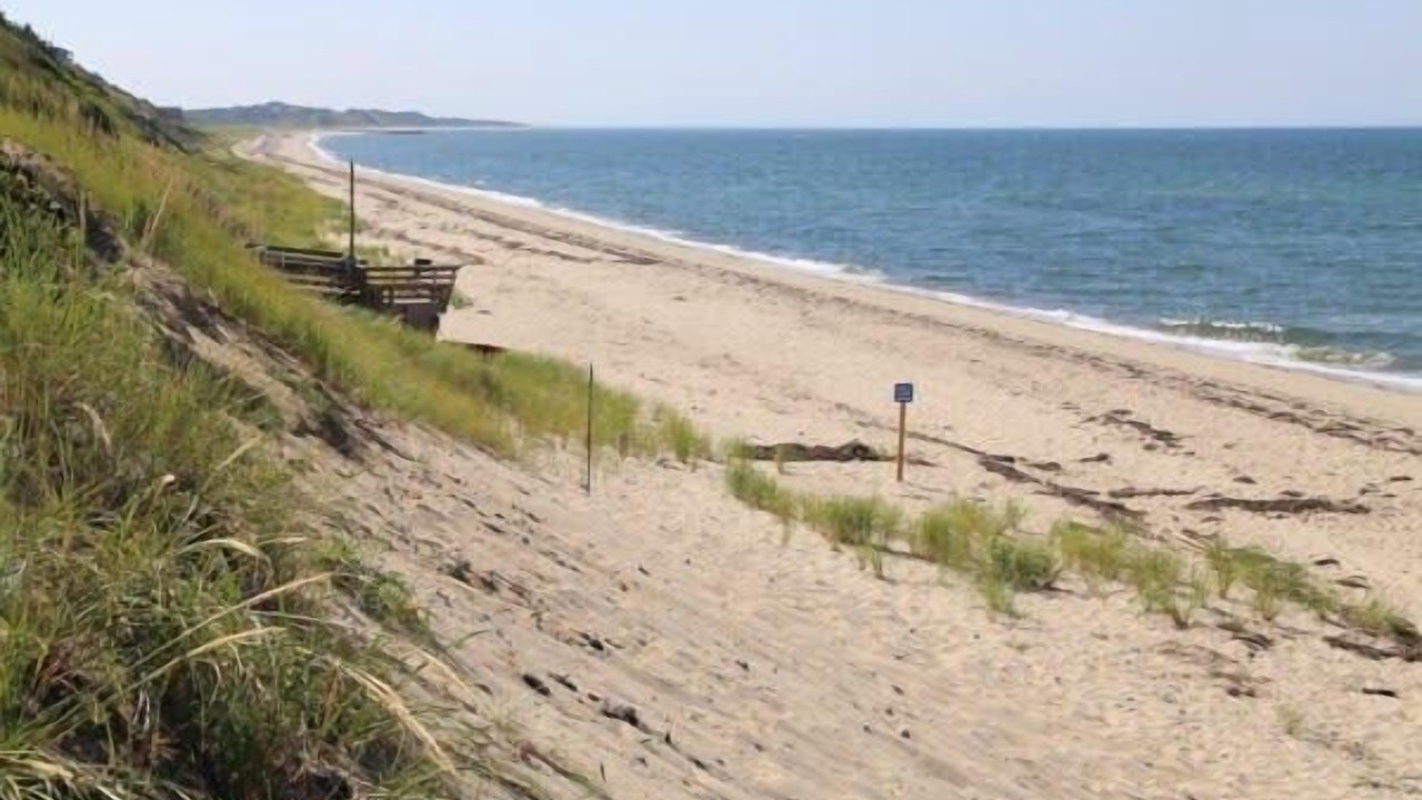 Photo of Others in Truro