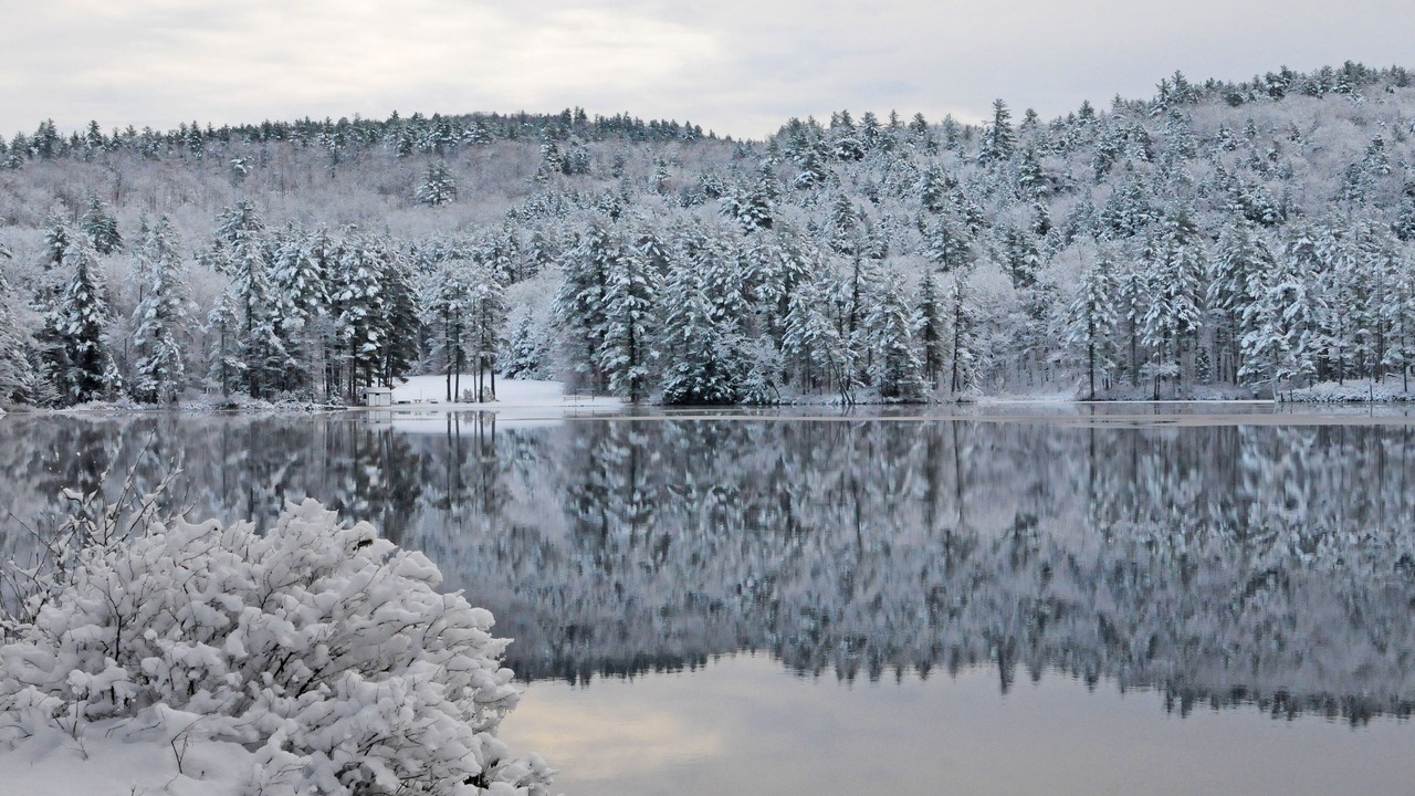 Photo of Outdoor in East Madison