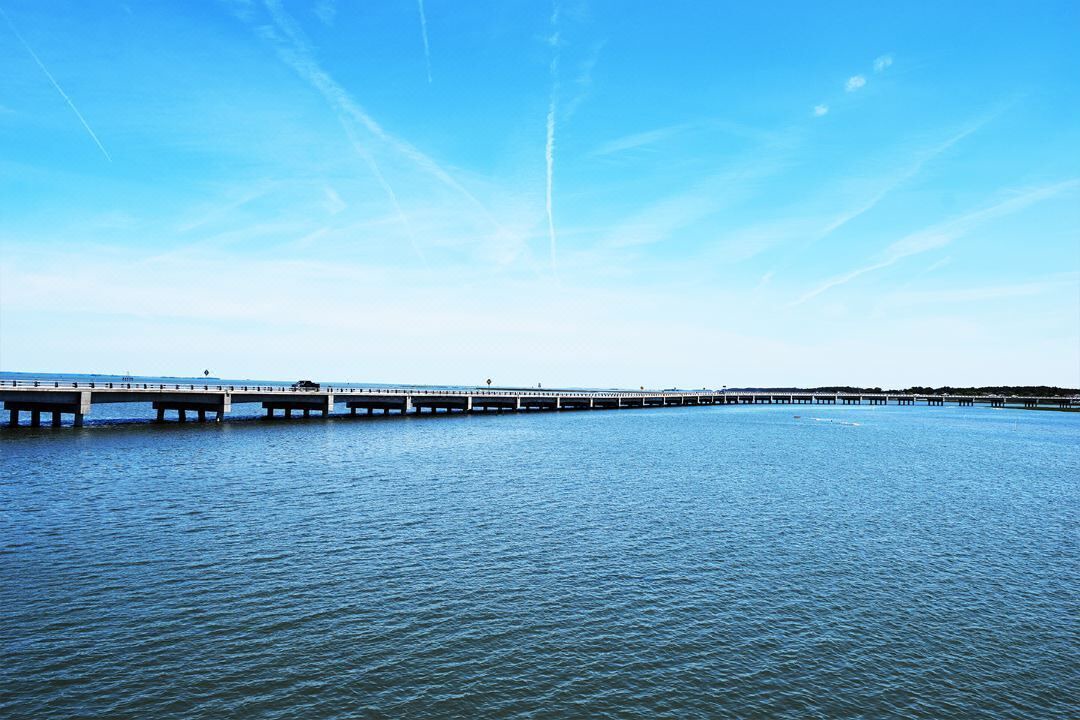 Photo of Others in Chincoteague