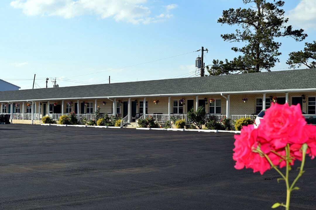 Photo of Outdoor in Chincoteague