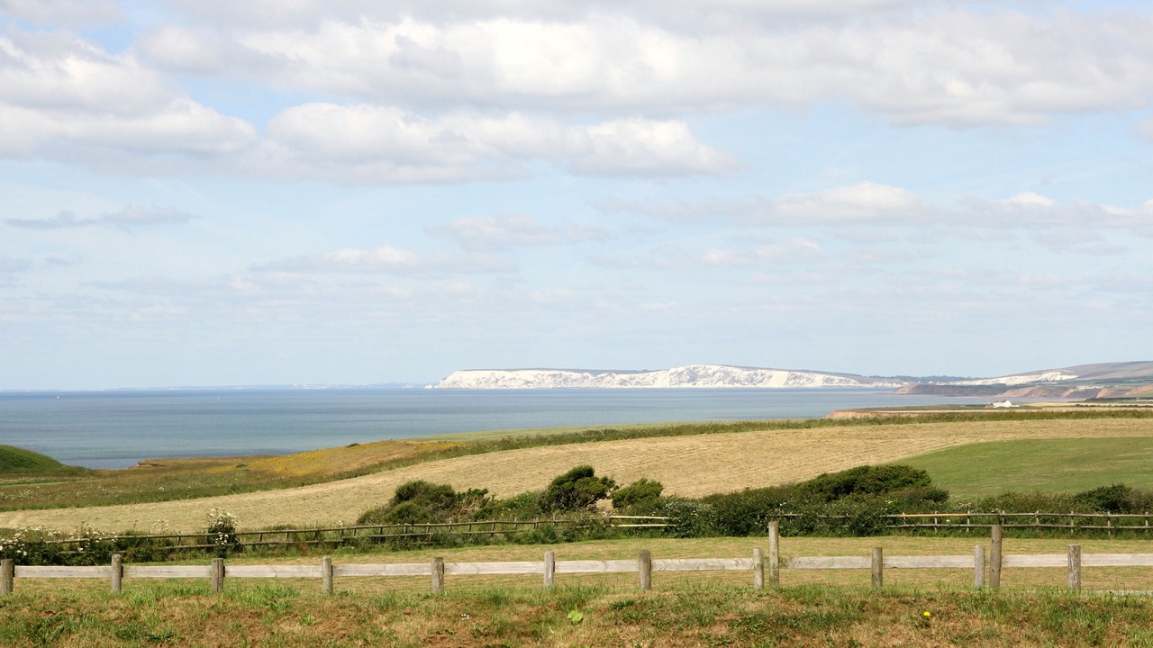 Photo of Others in Chale