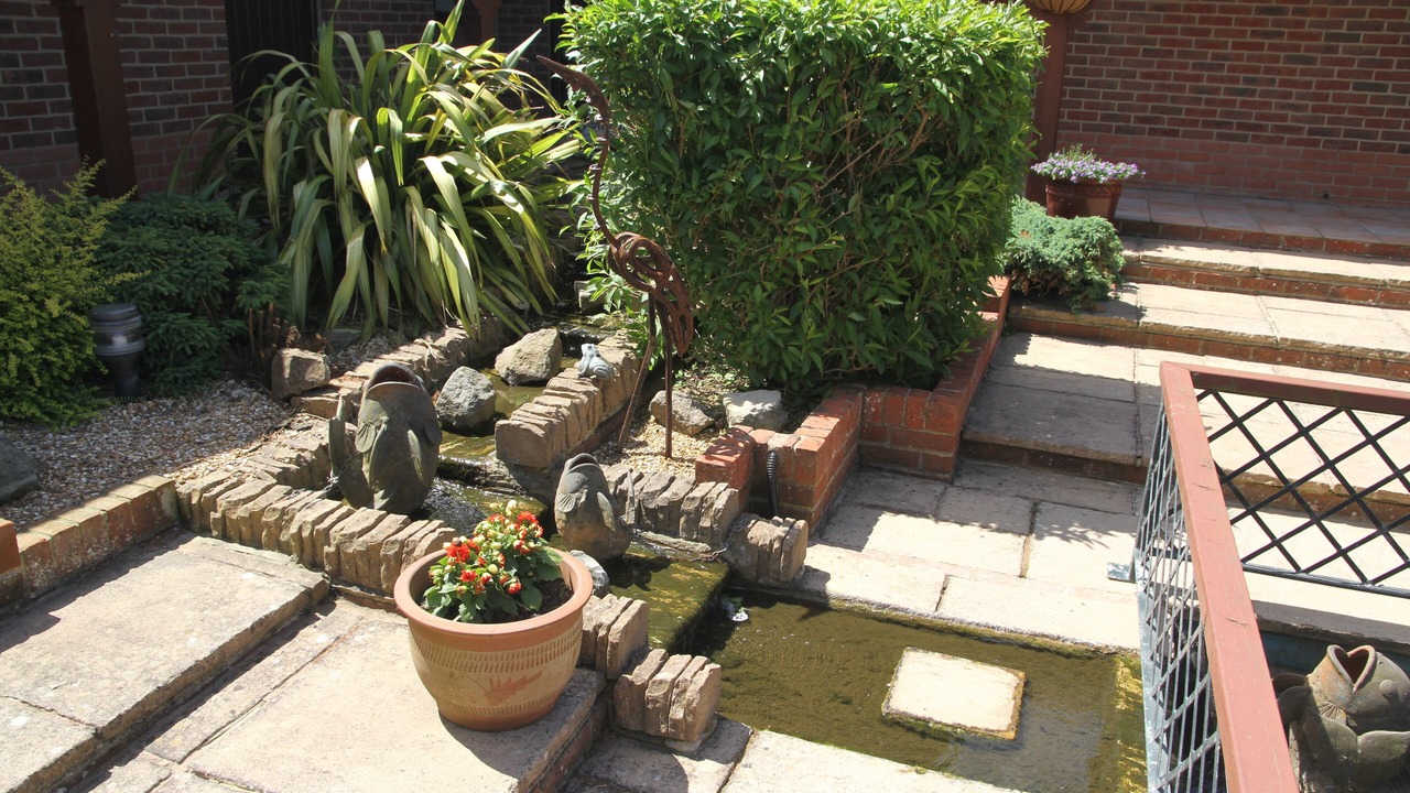 Photo of Outdoor in Chale