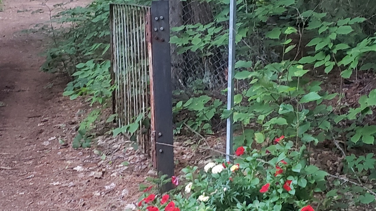 Photo of Others in Madawaska Valley