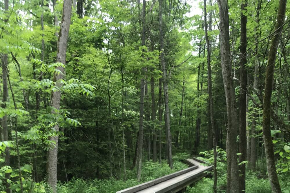 Photo of Outdoor in Innisfil