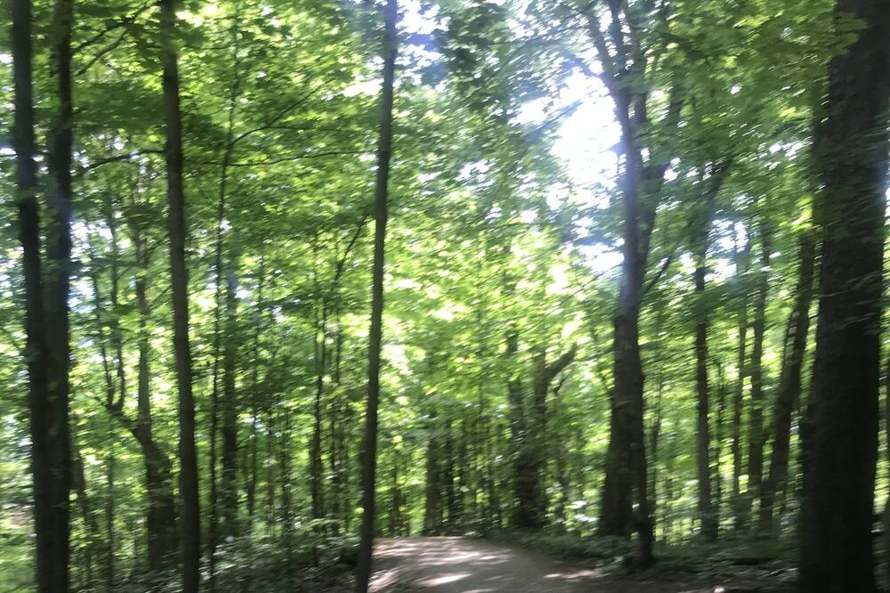 Photo of Outdoor in Innisfil