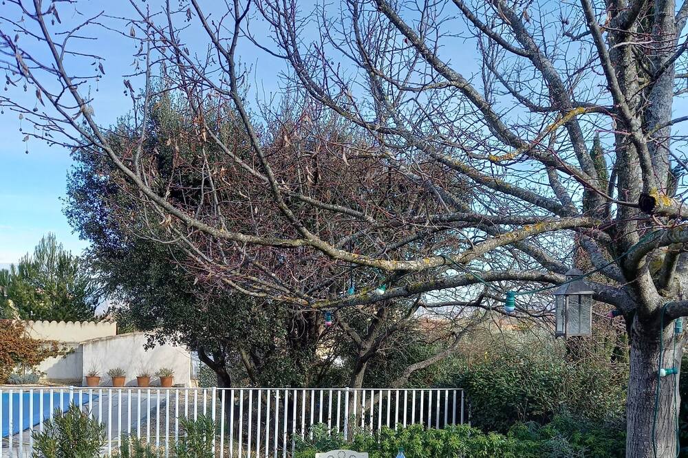 Photo of Outdoor in Maubec