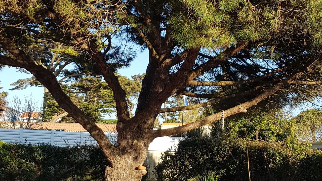 Photo of Outdoor in Prefailles