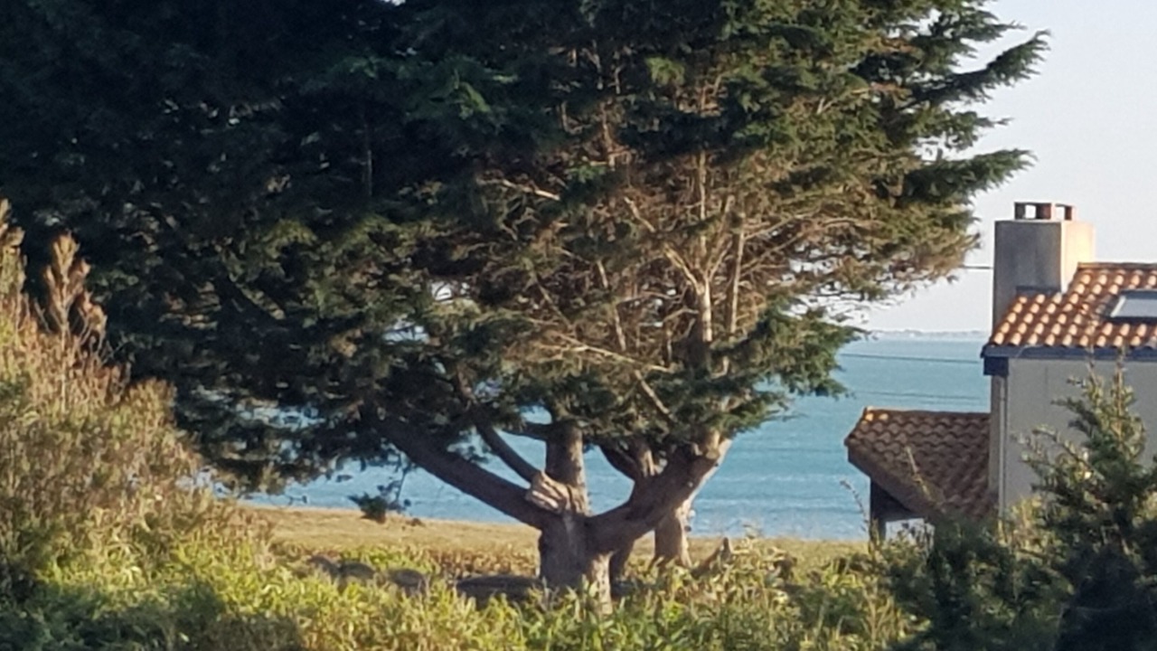 Photo of Outdoor in Prefailles
