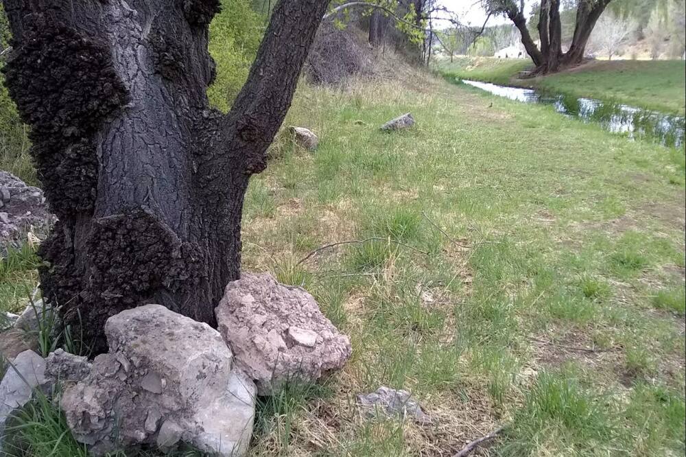 Photo of Outdoor in Mayhill