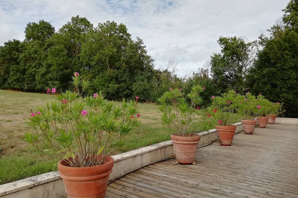Photo of Outdoor in Talmont-Saint-Hilaire
