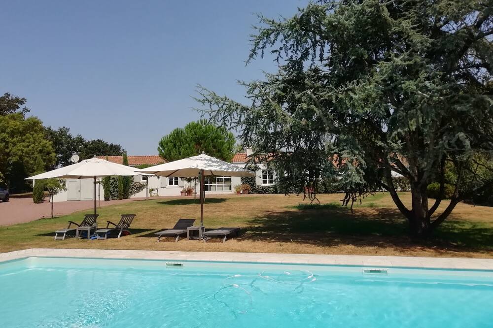 Photo of Outdoor in Talmont-Saint-Hilaire
