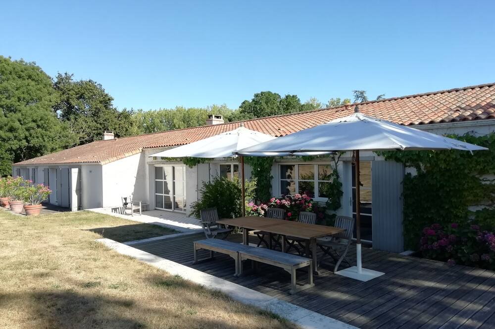 Photo of Others in Talmont-Saint-Hilaire