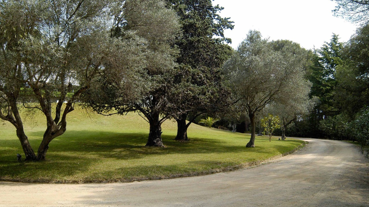 Photo of Outdoor in Vall-Llobrega