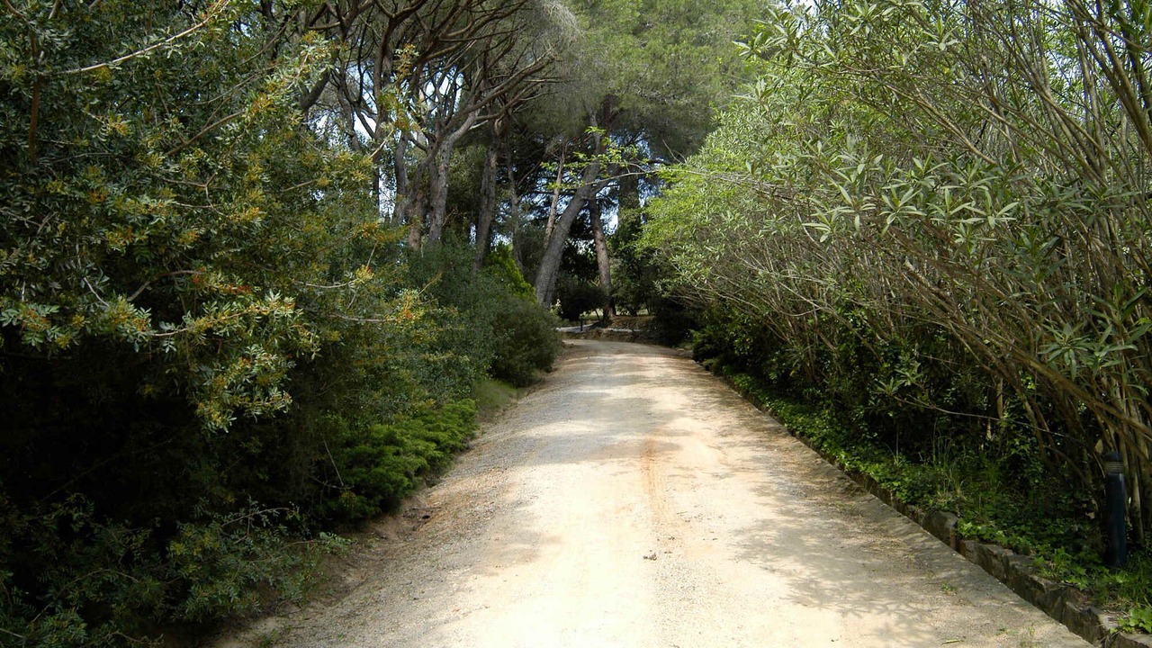 Photo of Outdoor in Vall-Llobrega