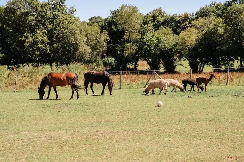 Photo of Outdoor in Caro