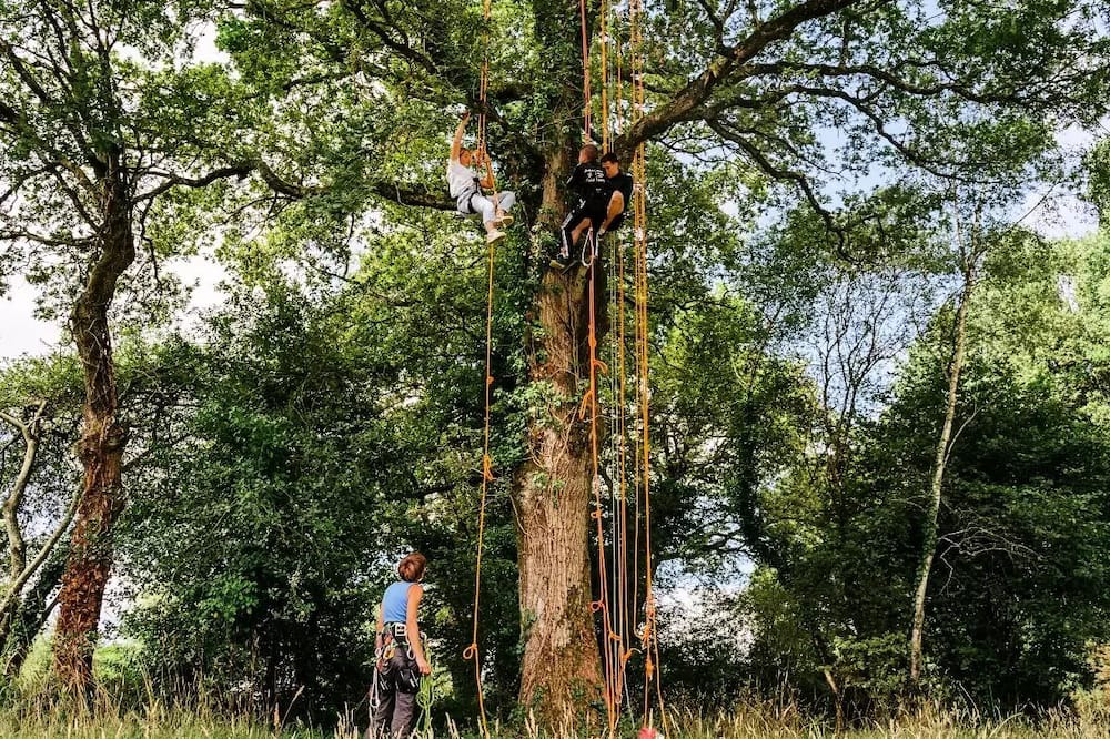 Photo of Others in Caro