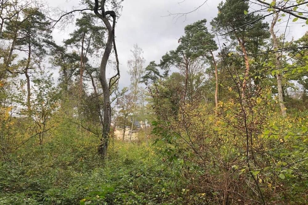 Photo of Outdoor in Saint-Jean-aux-Bois