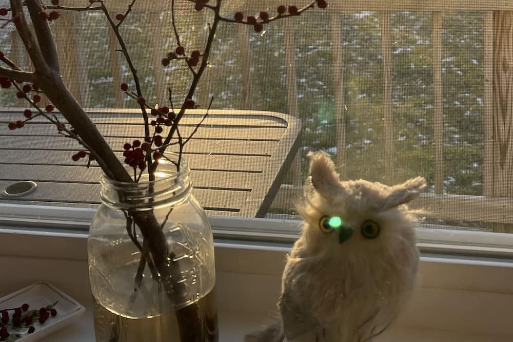 Photo of Others in South Thomaston