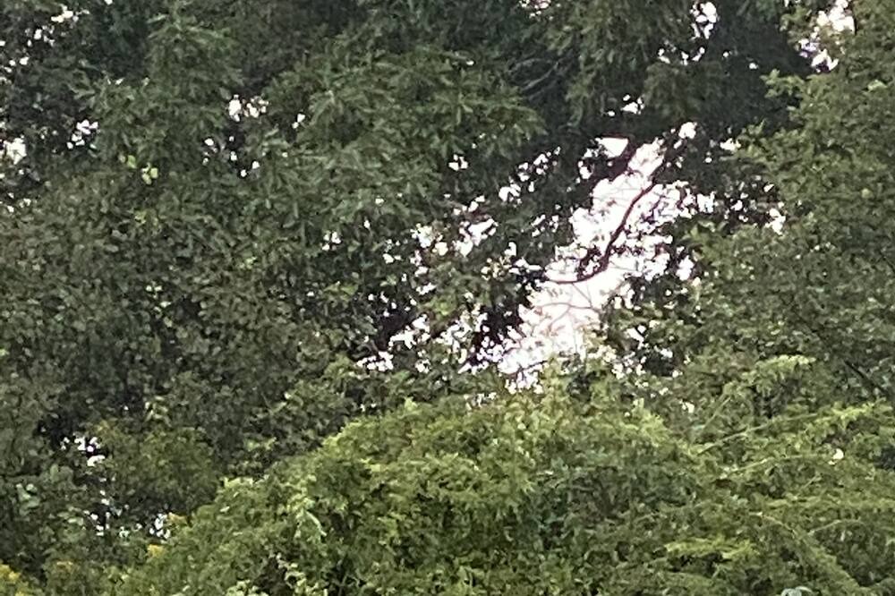 Photo of Outdoor in South Thomaston