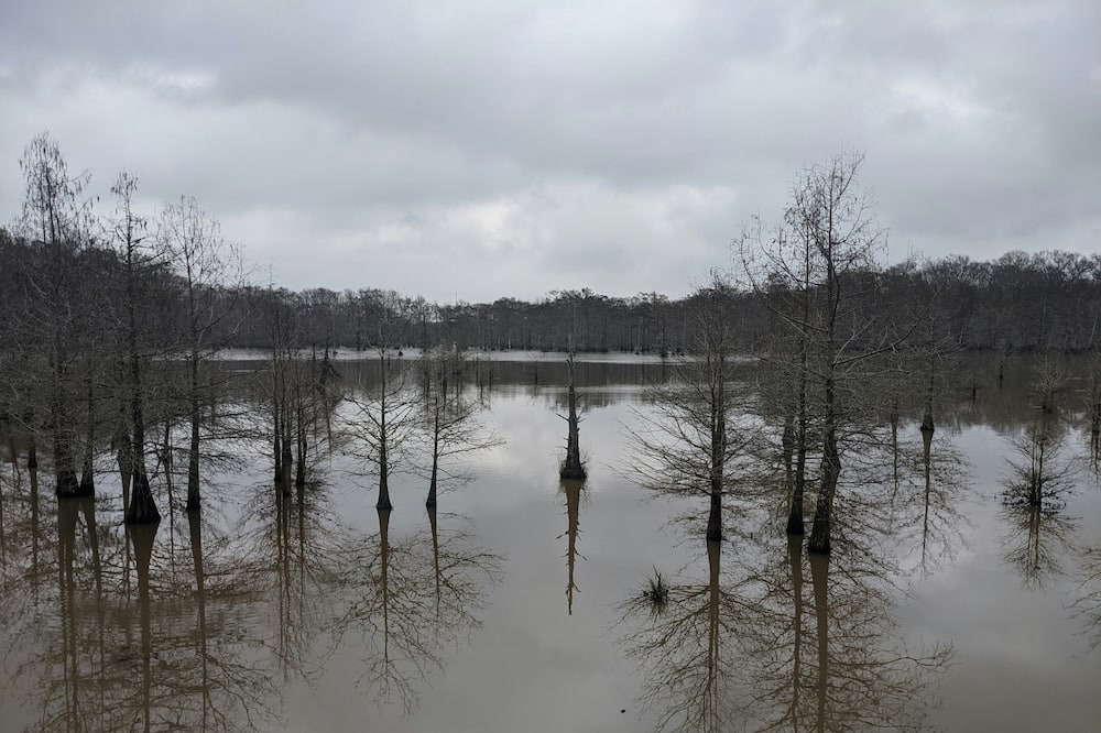Photo of Others in Saint Landry