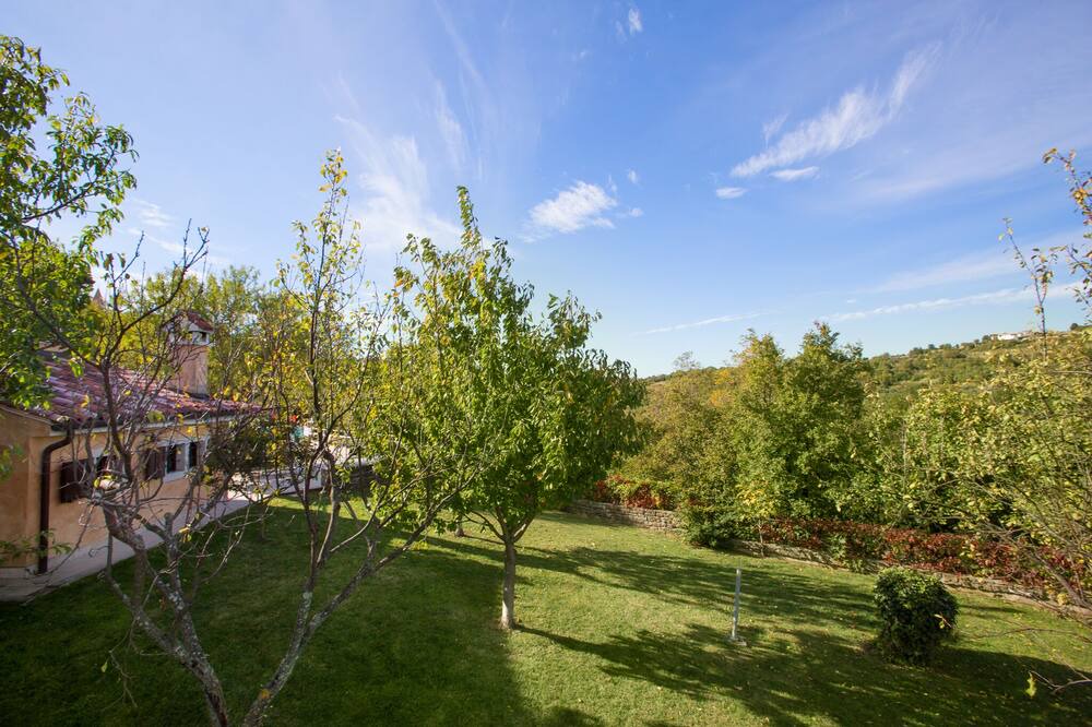 Photo of Outdoor in Momjan
