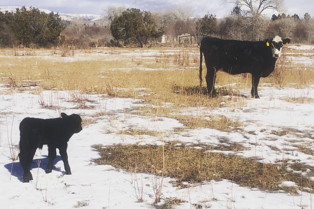 Photo of Outdoor in Neola