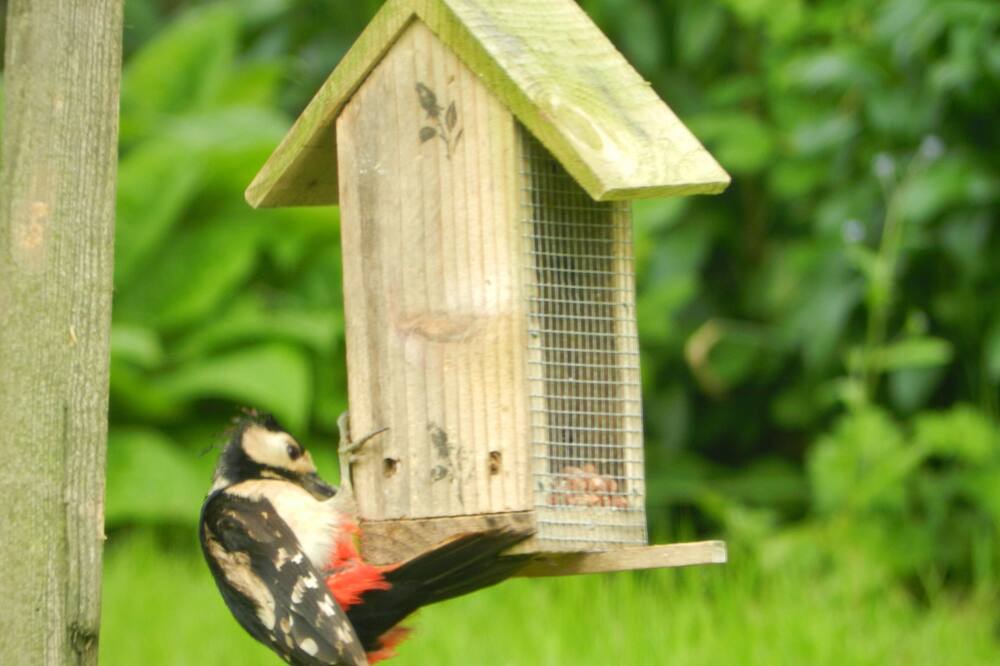 Photo of Others in Hereford