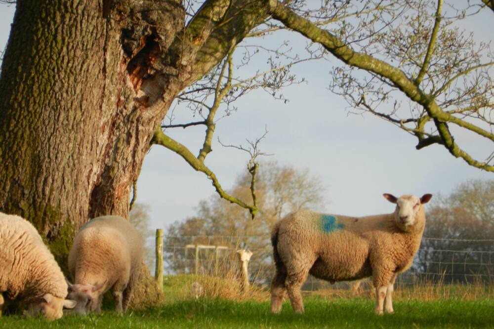 Photo of Others in Hereford